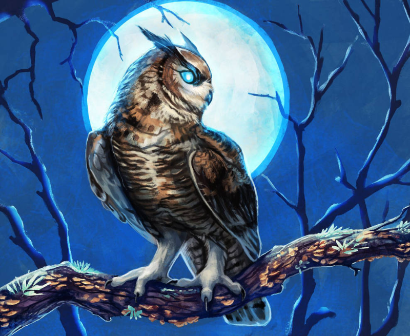 night owl