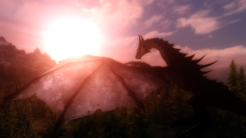 Skyrim screenshot 4
