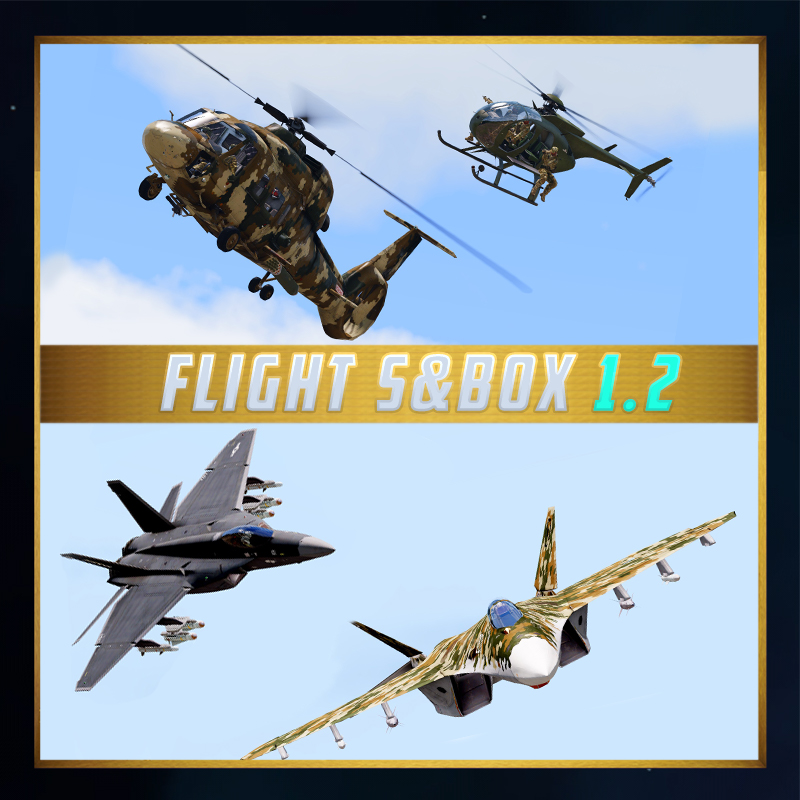 Flight S&box
