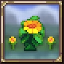 Large Herbs