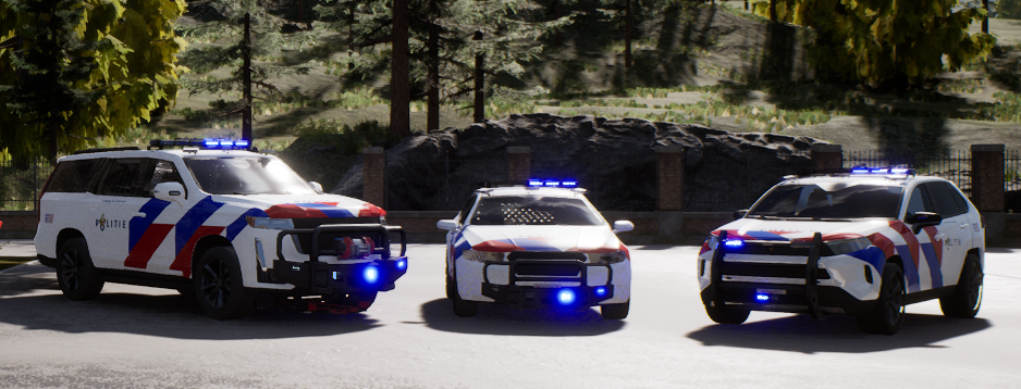Realistic Dutch Police Lights and Sirens