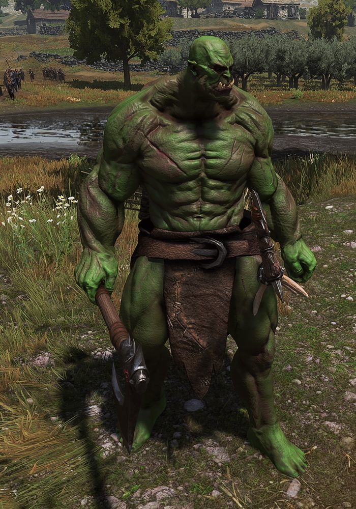 MountAndWarcraftReborn