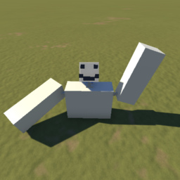 Vr Arms Man