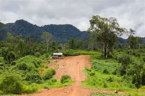 RIS - Prei Khmaoch Luong