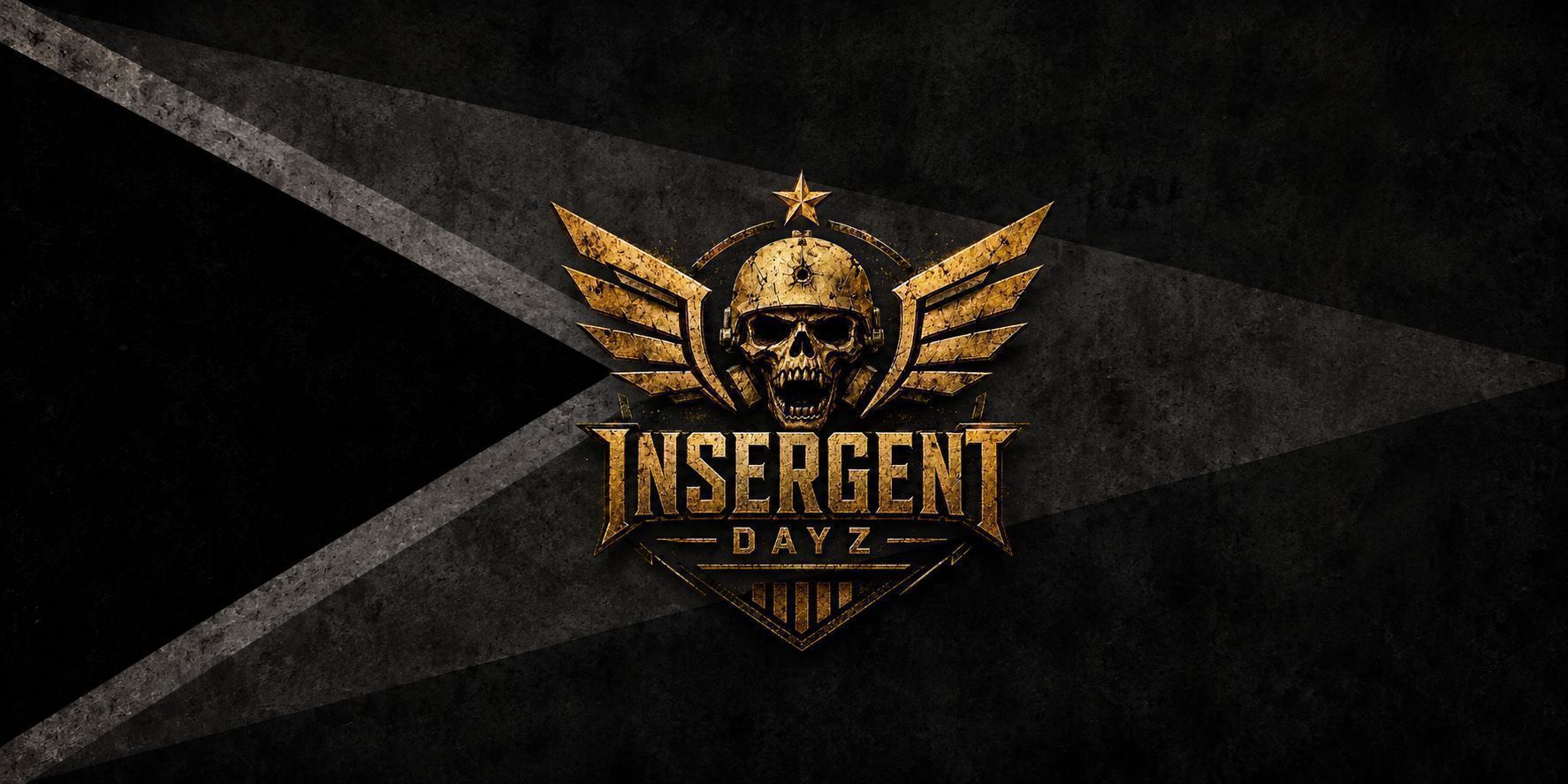 INSERGENTGUNS