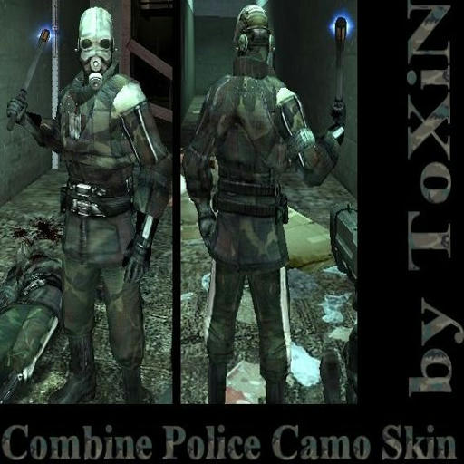 Combine Police Camo Skin