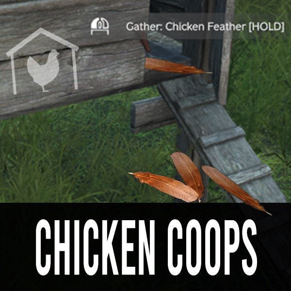 Zens Chicken Coops