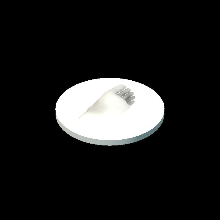 Bigfoot Token [Horizontal, R]