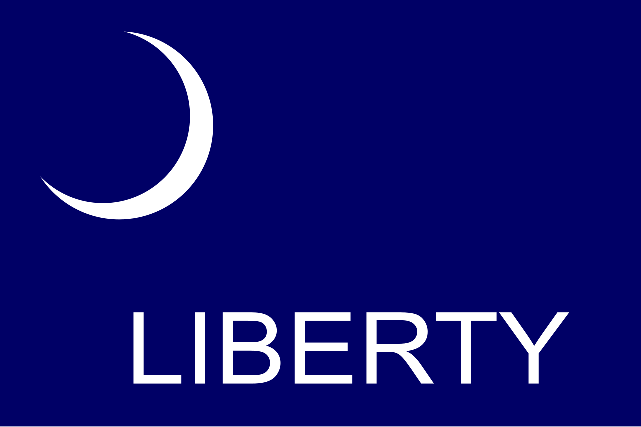 Fort Moultrie Flag preview