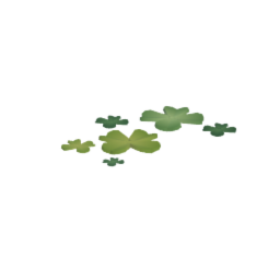 Clover patch