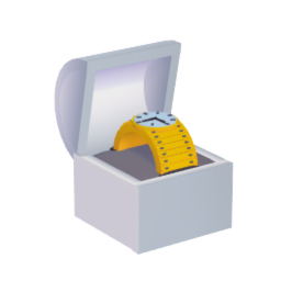 Men's Watch in Box