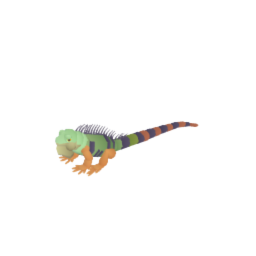Iguana