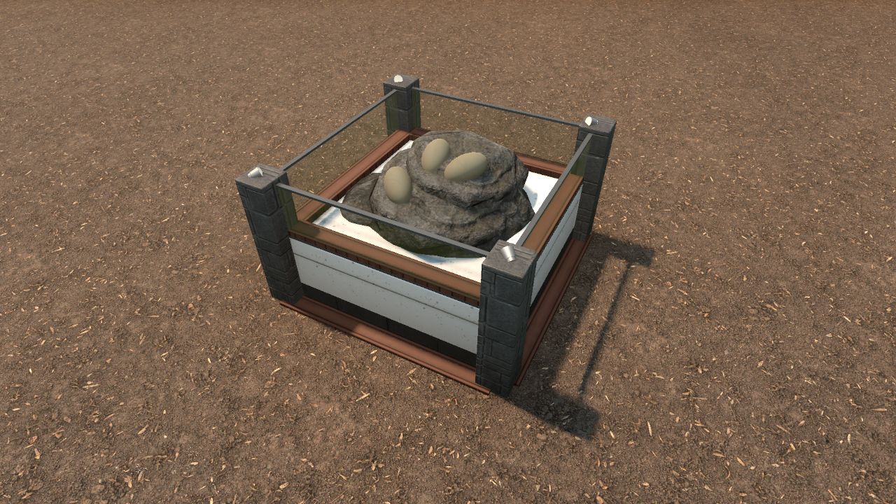 Fossil egg display