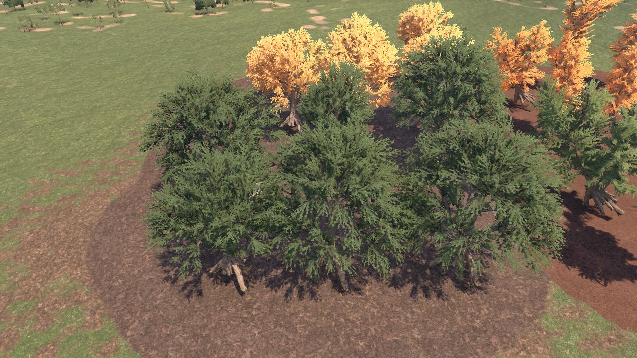 Gnarly Ginkgo Adiantodes