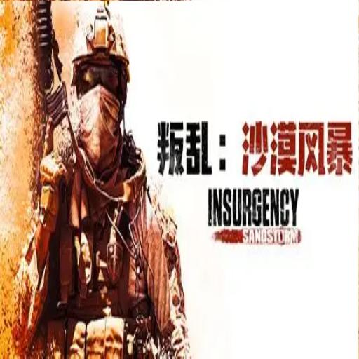 Insurgency: Sandstorm Faction
