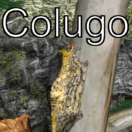 Colugo