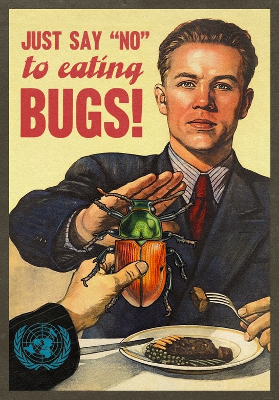 WE WON'T EAT ZE BUGZ preview