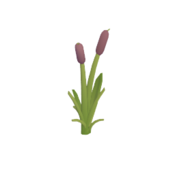 Cattail