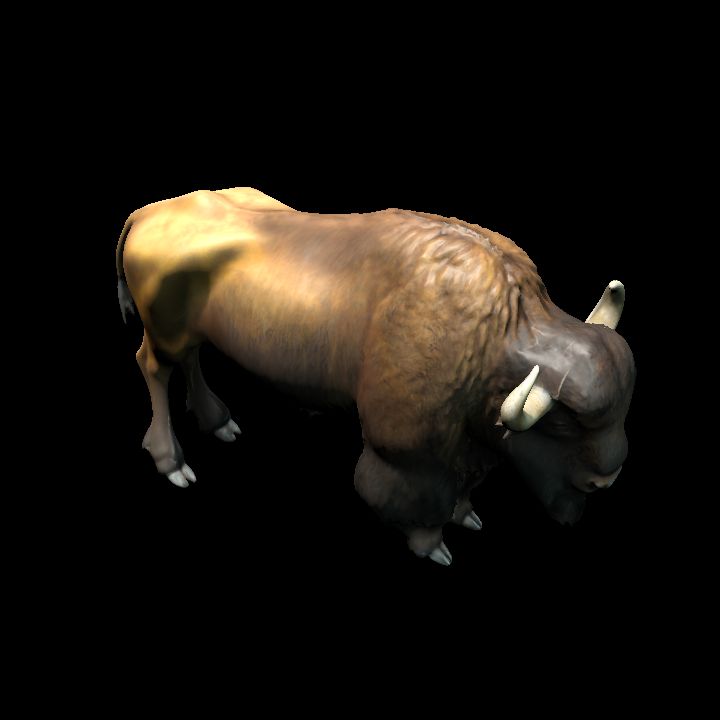 Ancient Bison (Bison antiquus)