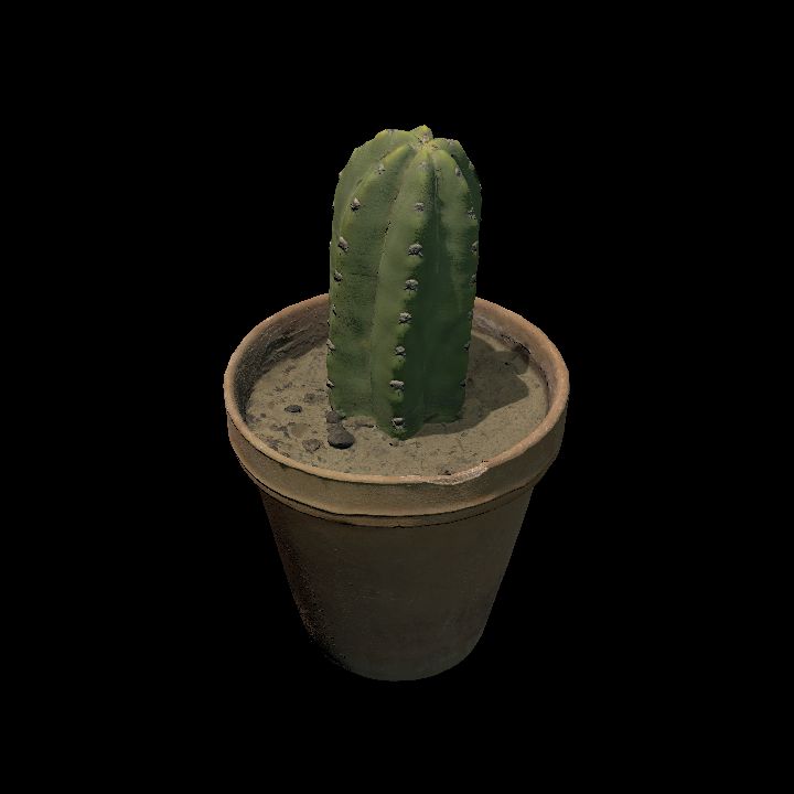 Object, Houseplant, Cactus 1