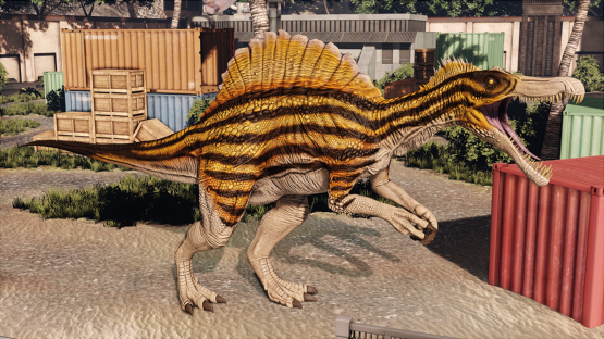 Sun Spino
