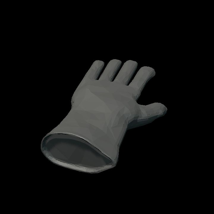 Gloves lying L colourable