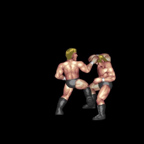 串刺しバックエルボーラッシュ / Corner Back Elbow Rush