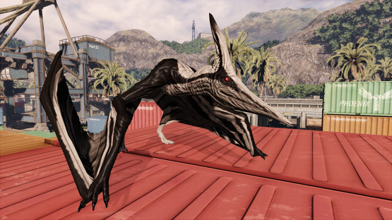 Ashen Ptera