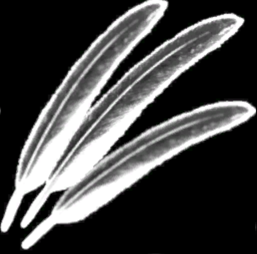 CE