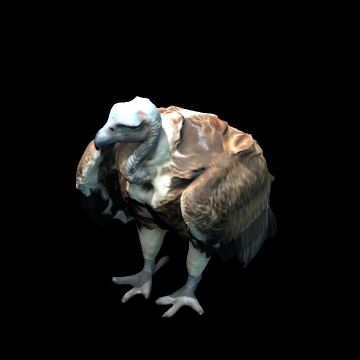 Vulture
