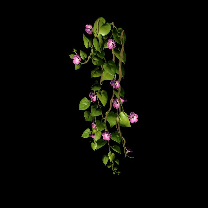 Vine_15