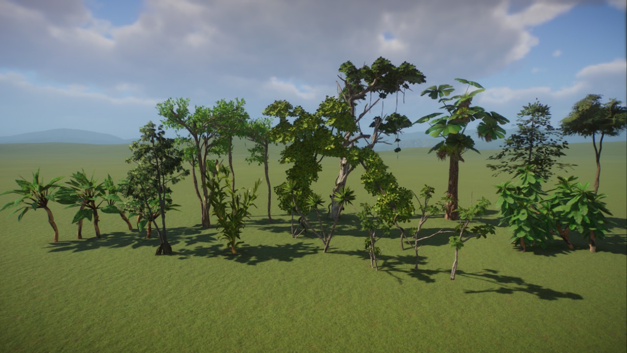 Tropical Custom Plants