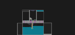 NUCLEAR REACTOR