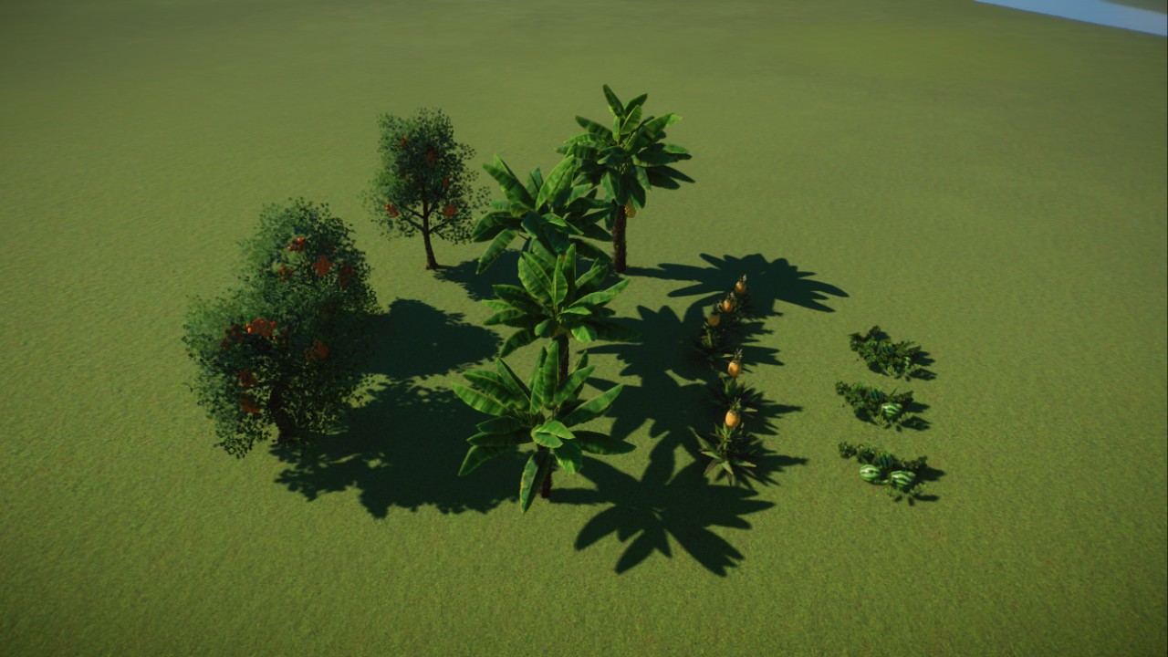 Custom plant with fruits