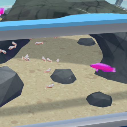 Breedable Orchid Dottyback