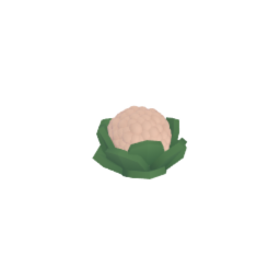 Cauliflower - Vegetable - Food