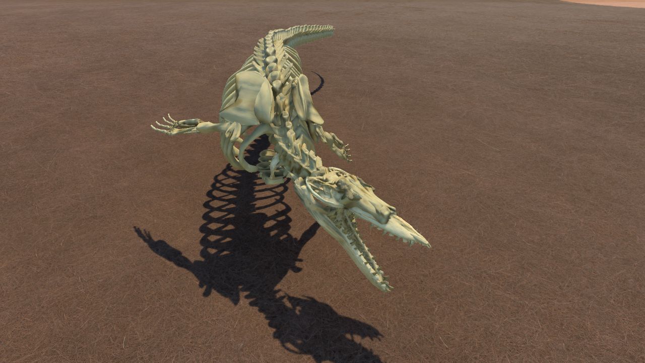 Basilosaurus Skeleton