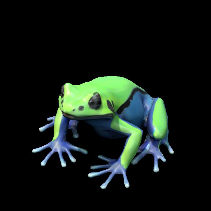 Frog 7