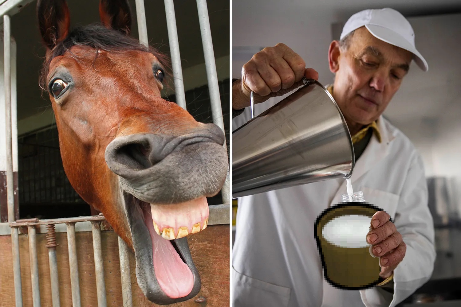 Milkable Horses