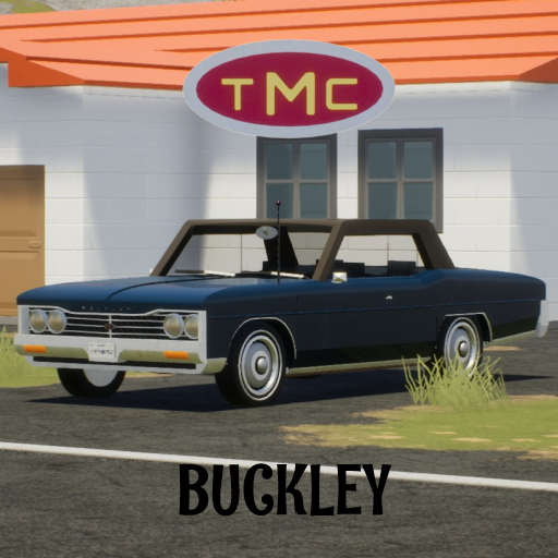 Troubadour buckley coupe 1972 canvas top