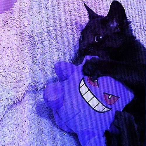 2_UI