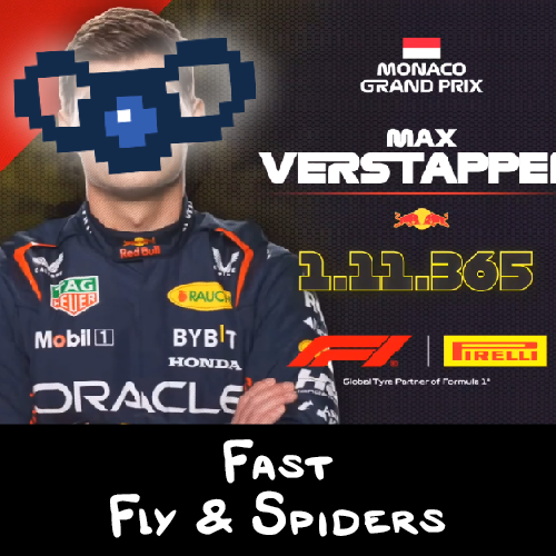 Fast Fly & Spider