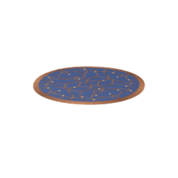 Fancy Rug with Circle Pattern - Carpet - Decoration