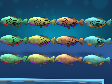 Plant_Fish_Hybrid Display Hybrid Variants