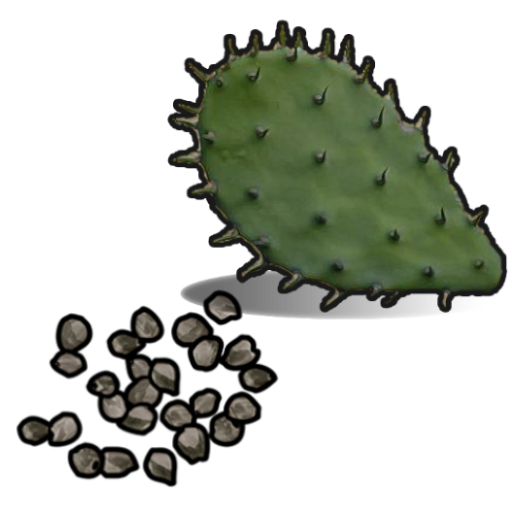 Cactus Flesh Seed