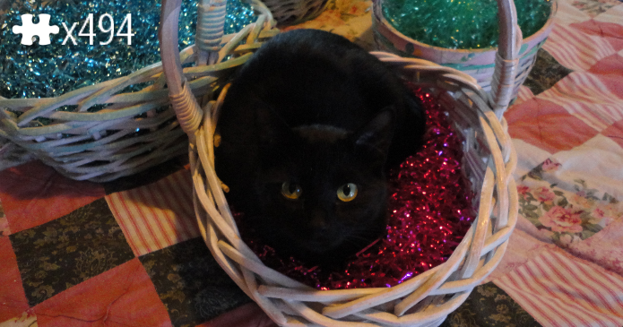 baby in a basket