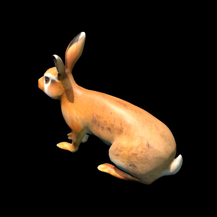 Tan Rabbit