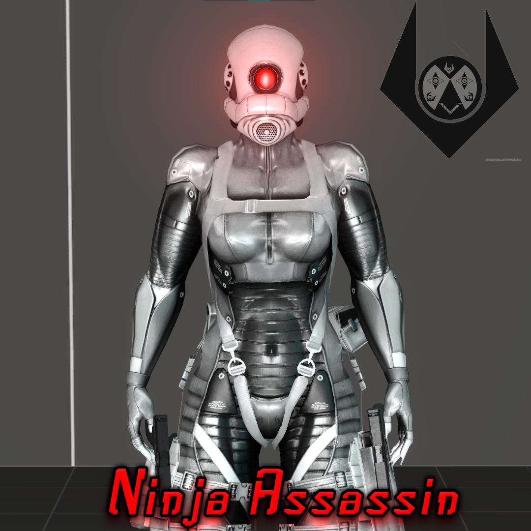 {Port} Ninjia Style Combine Assassin