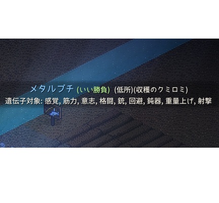遺伝子対象表示