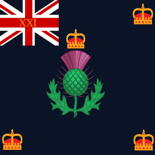 21s RNBF Flag